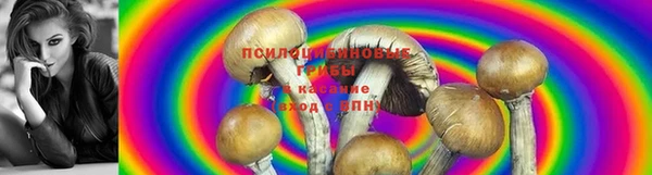 MDMA Premium VHQ Дмитриев
