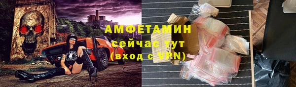 сатива Дмитровск