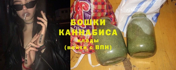 сатива Дмитровск