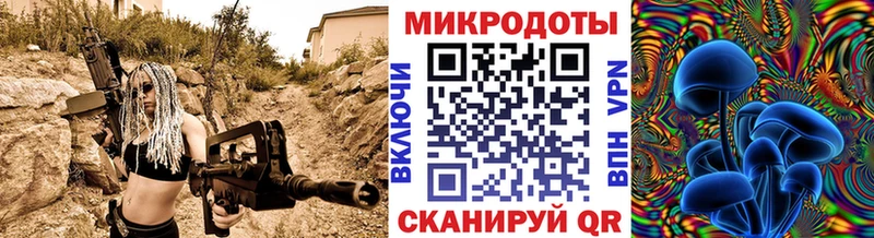 Псилоцибиновые грибы Psilocybine cubensis  Няндома 