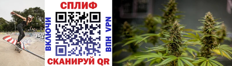 Бошки Шишки планчик Няндома